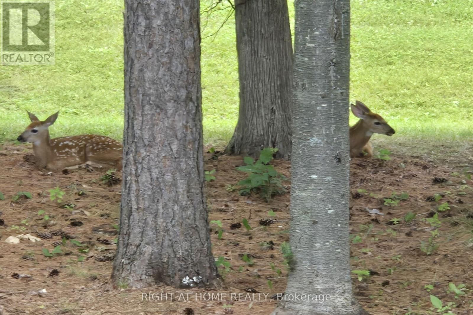 3616 FORESTVIEW LANE Image 49