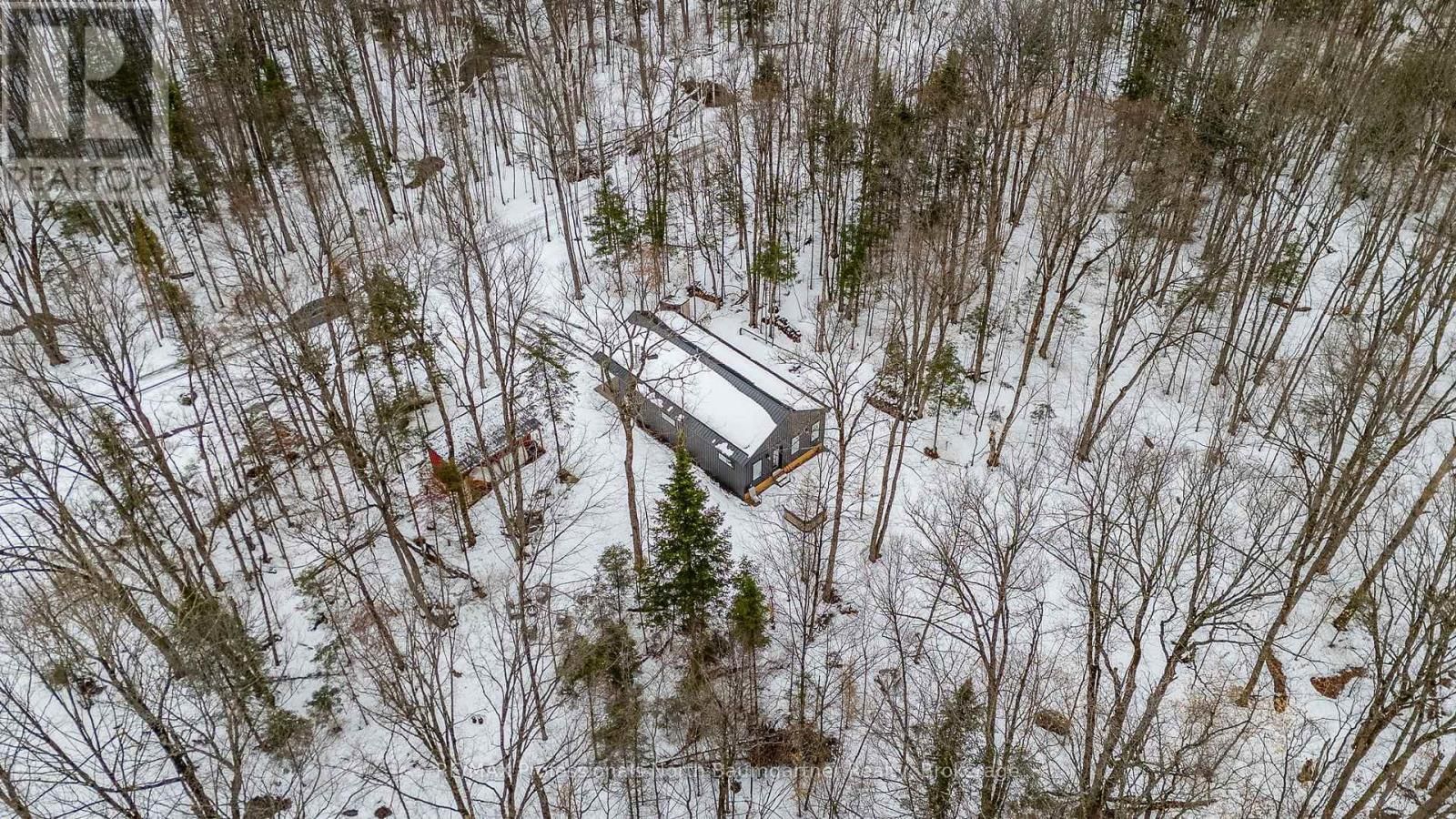 1366 BASSHAUNT LAKE ROAD Image 2