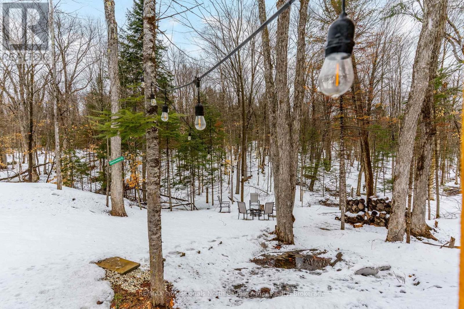 1366 BASSHAUNT LAKE ROAD Image 40