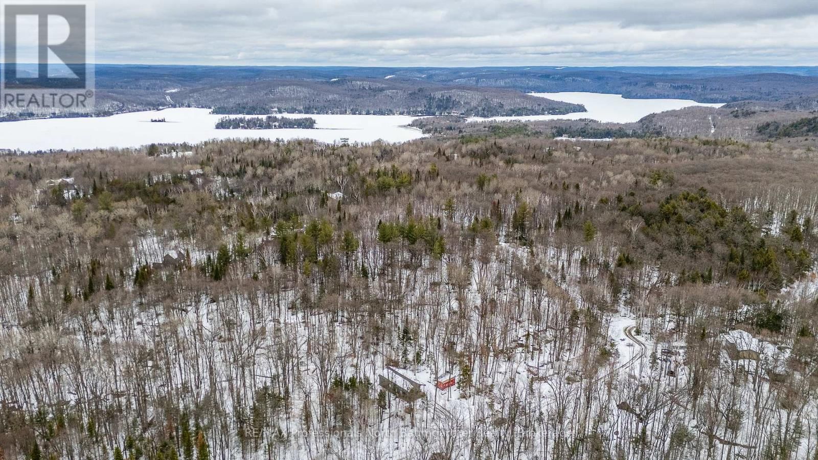 1366 BASSHAUNT LAKE ROAD Image 44