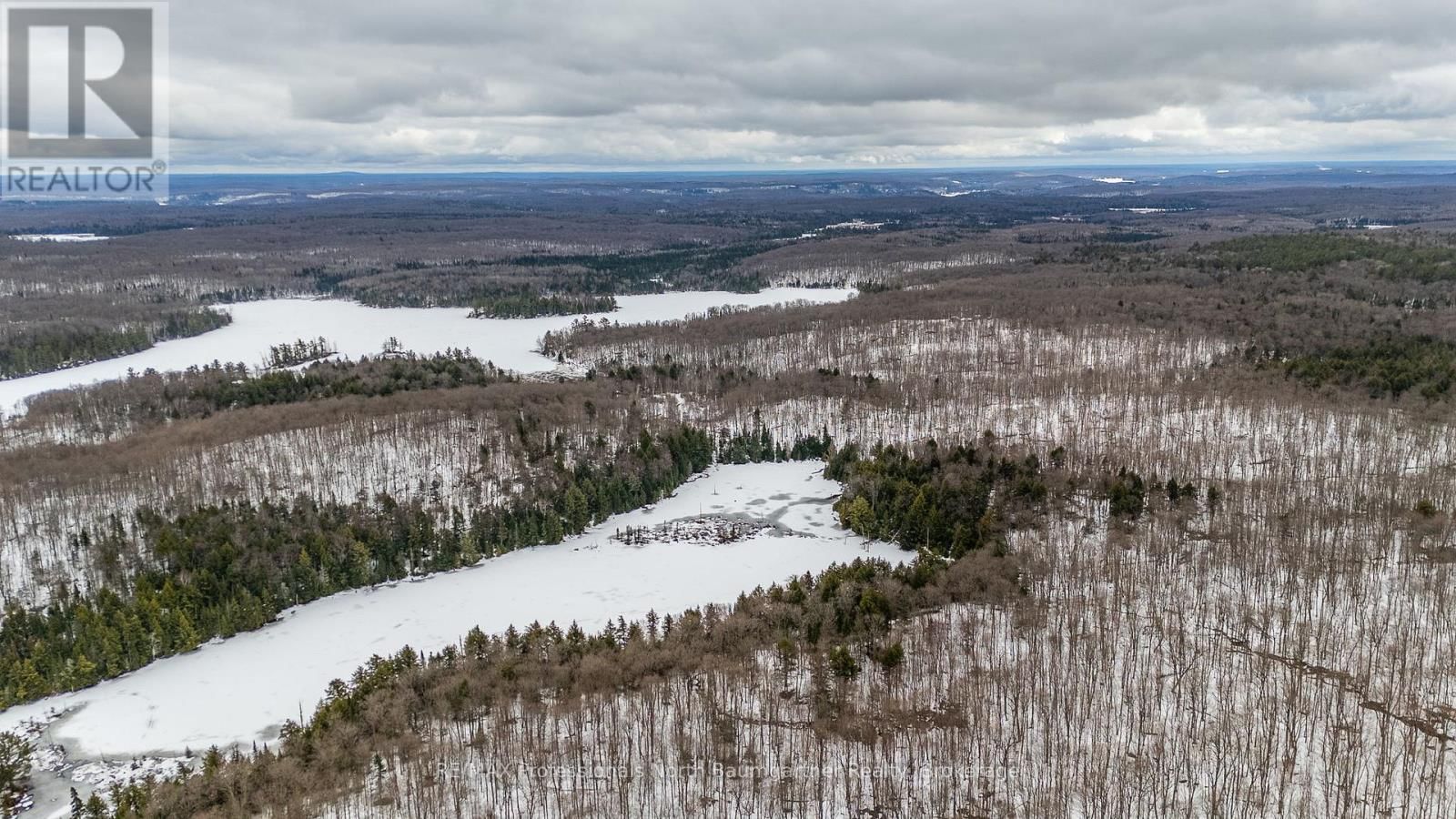 1366 BASSHAUNT LAKE ROAD Image 45