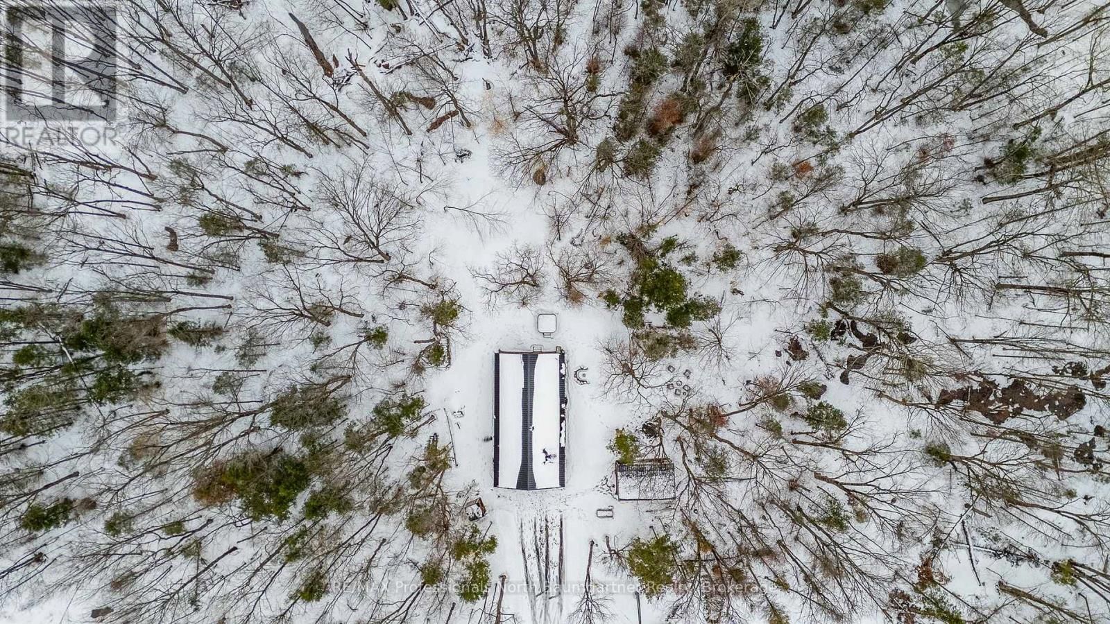 1366 BASSHAUNT LAKE ROAD Image 47