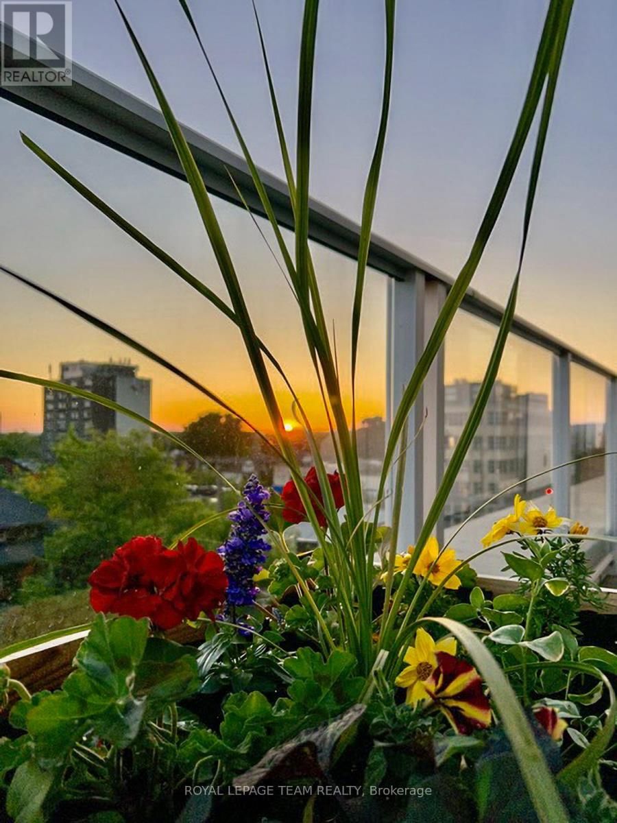 503 - 131 HOLLAND AVENUE Image 29