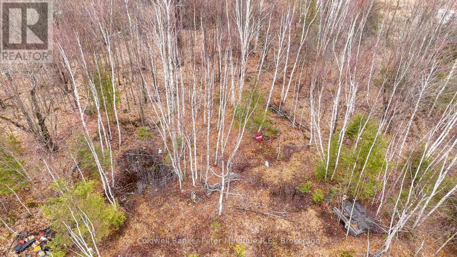 716 DERLAND ROAD Image 14