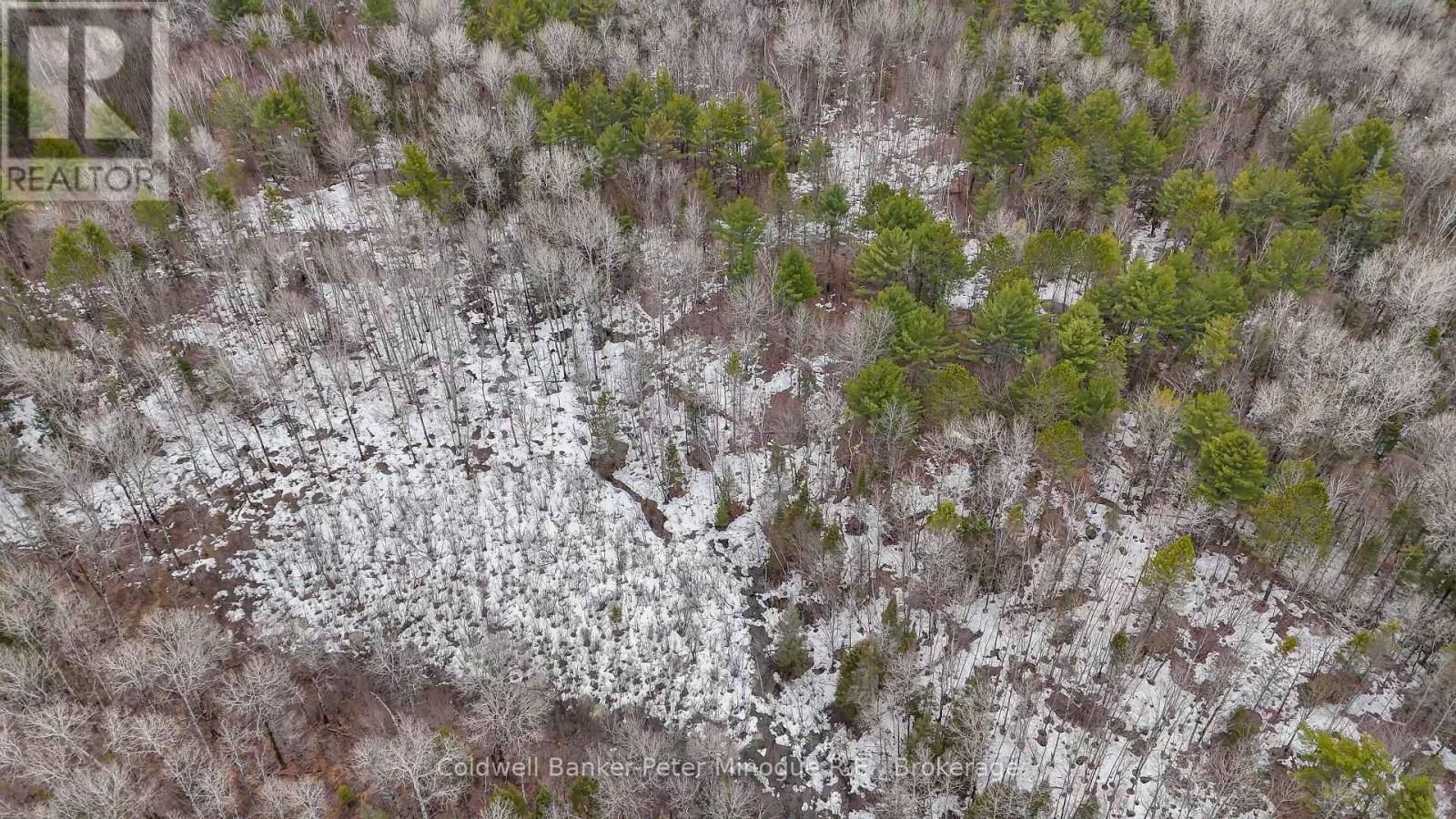 716 DERLAND ROAD Image 17