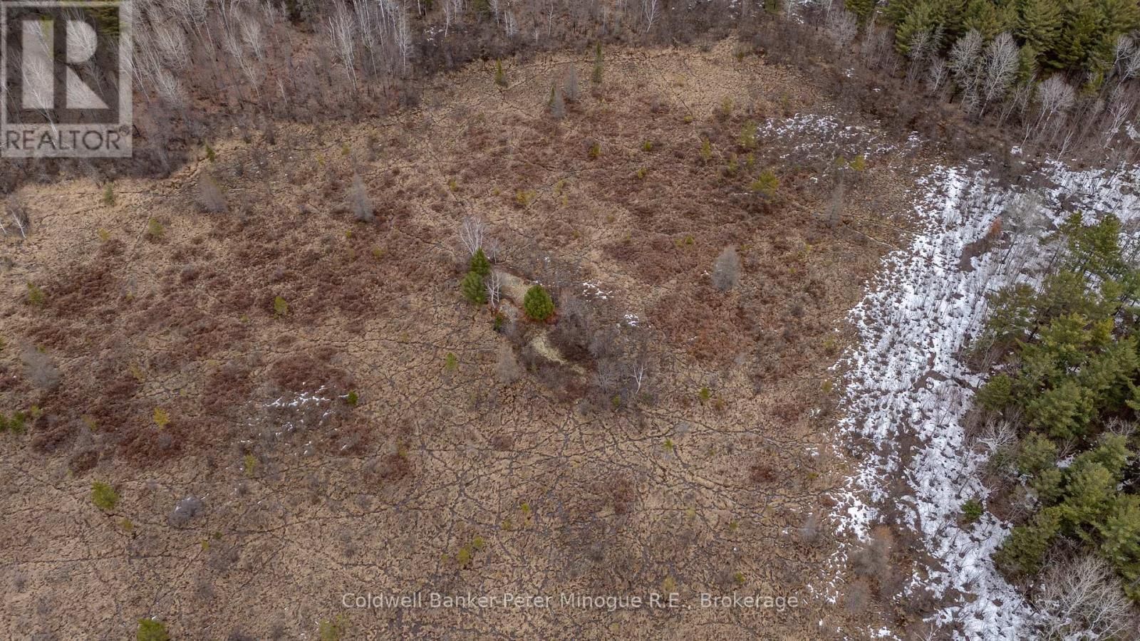 716 DERLAND ROAD Image 18