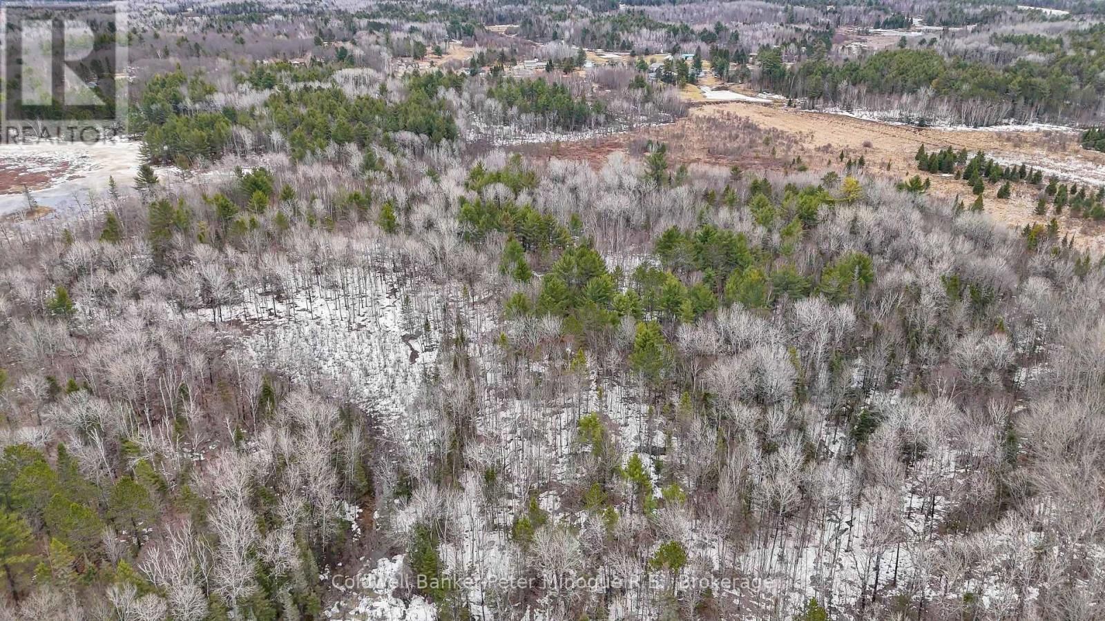 716 DERLAND ROAD Image 20