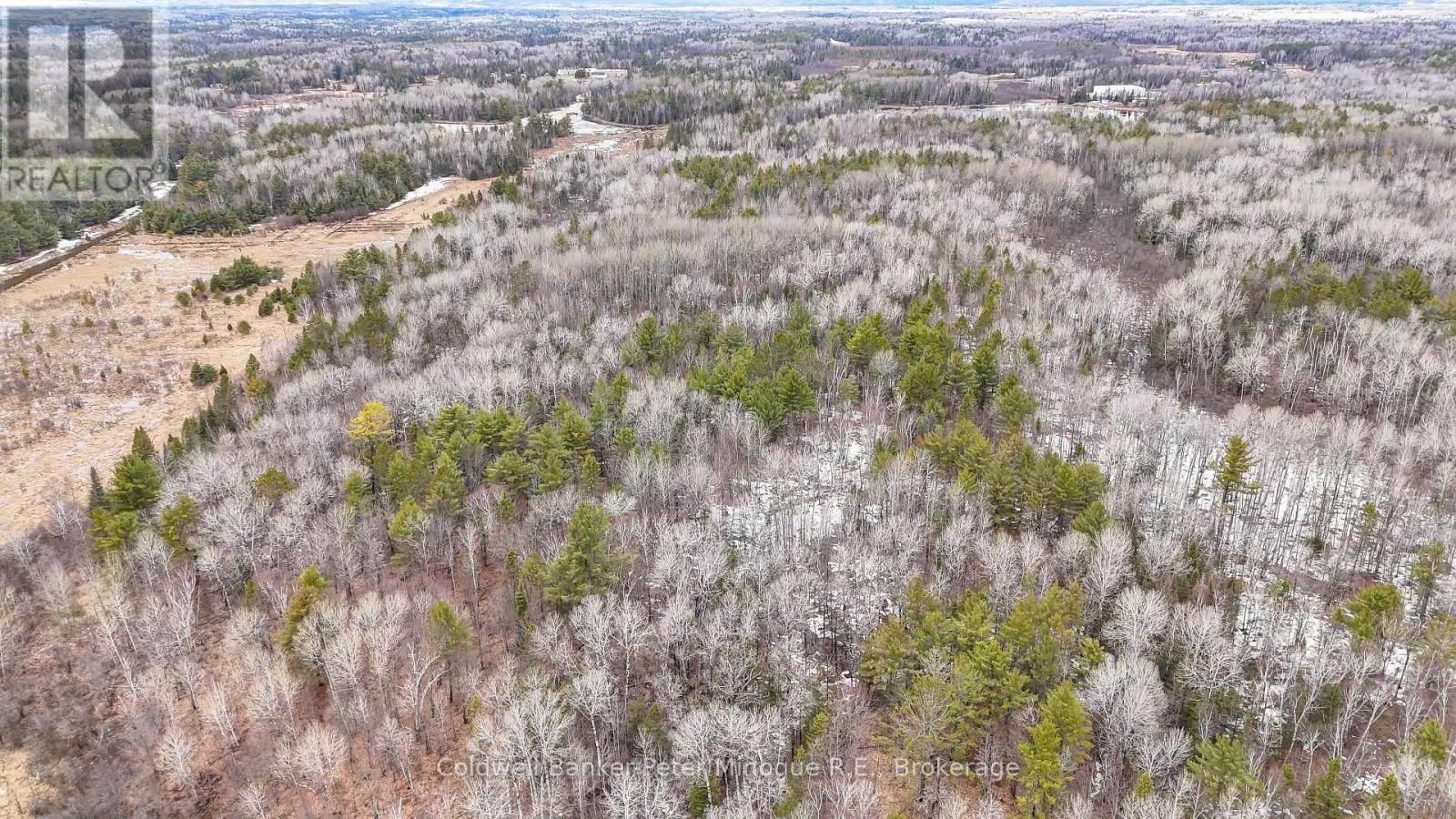 716 DERLAND ROAD Image 21