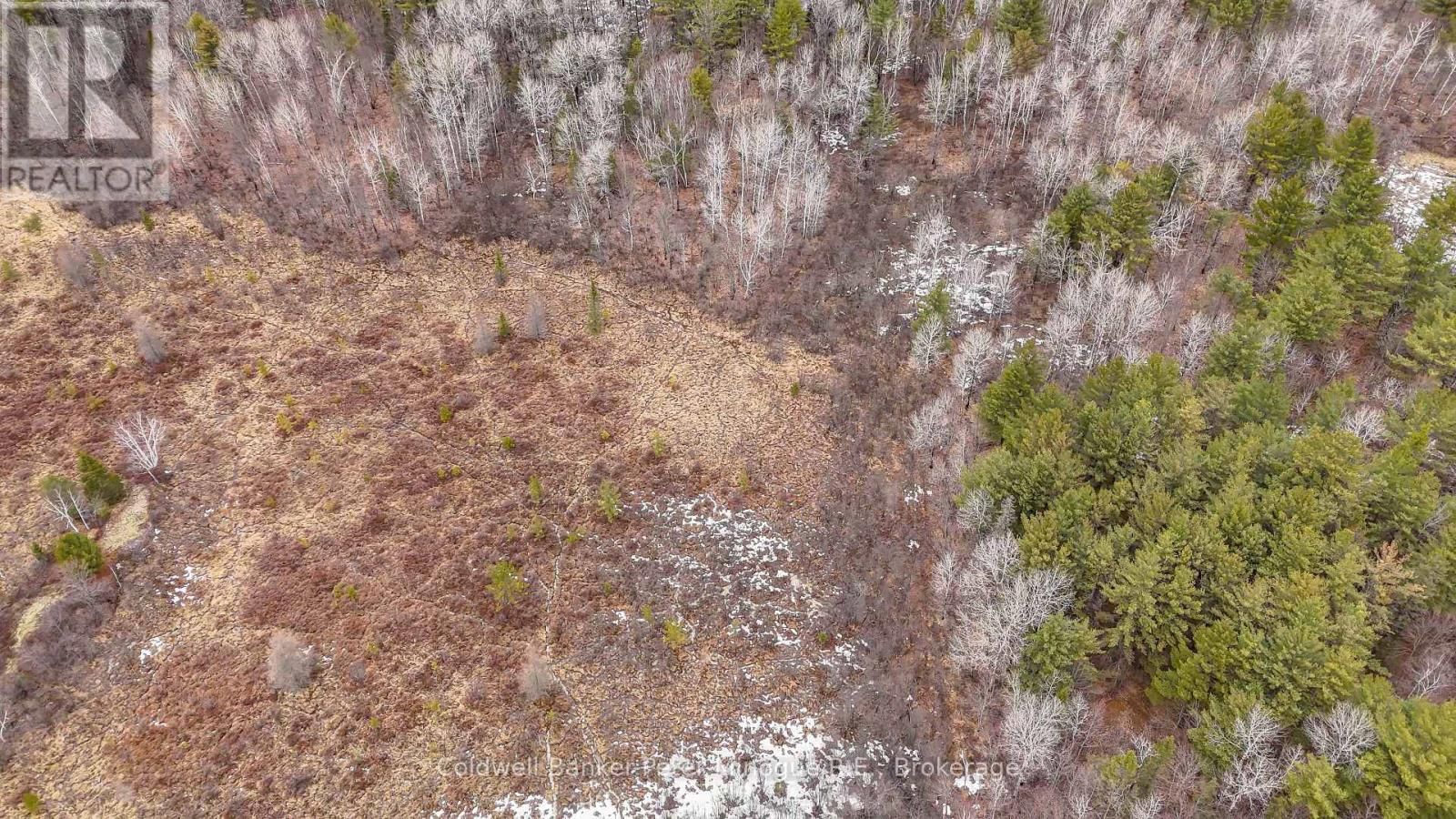 716 DERLAND ROAD Image 23