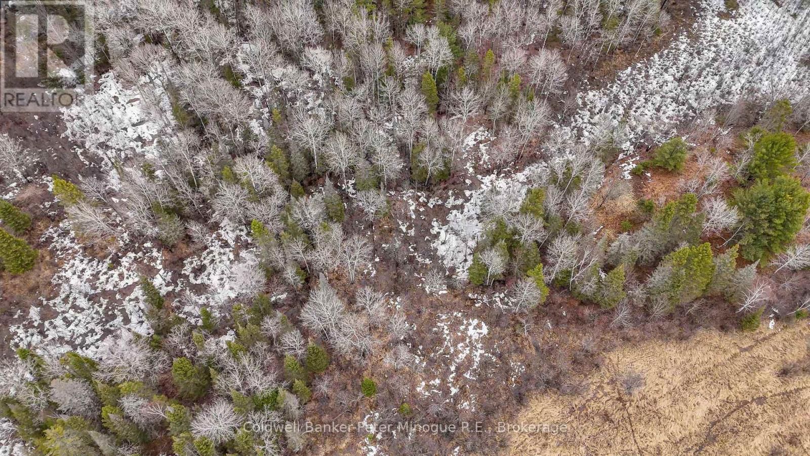 716 DERLAND ROAD Image 25