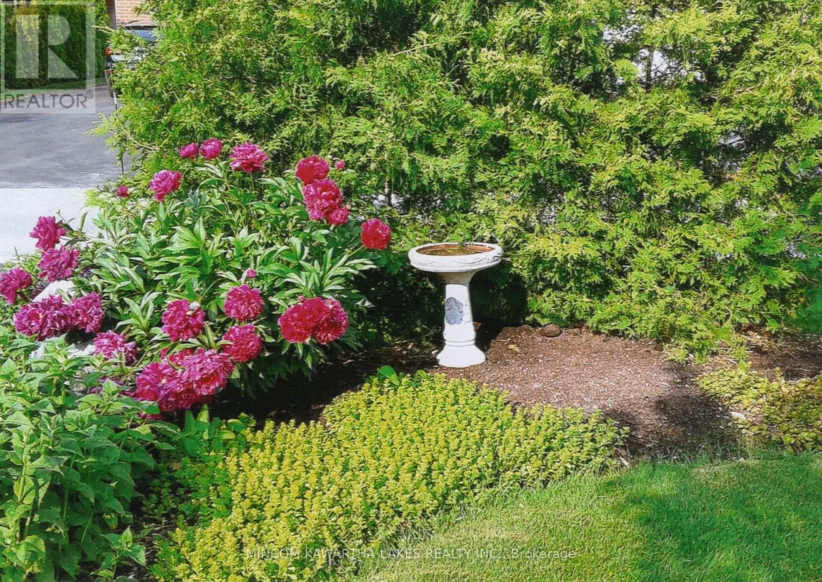 806 SMITH ROAD Image 34