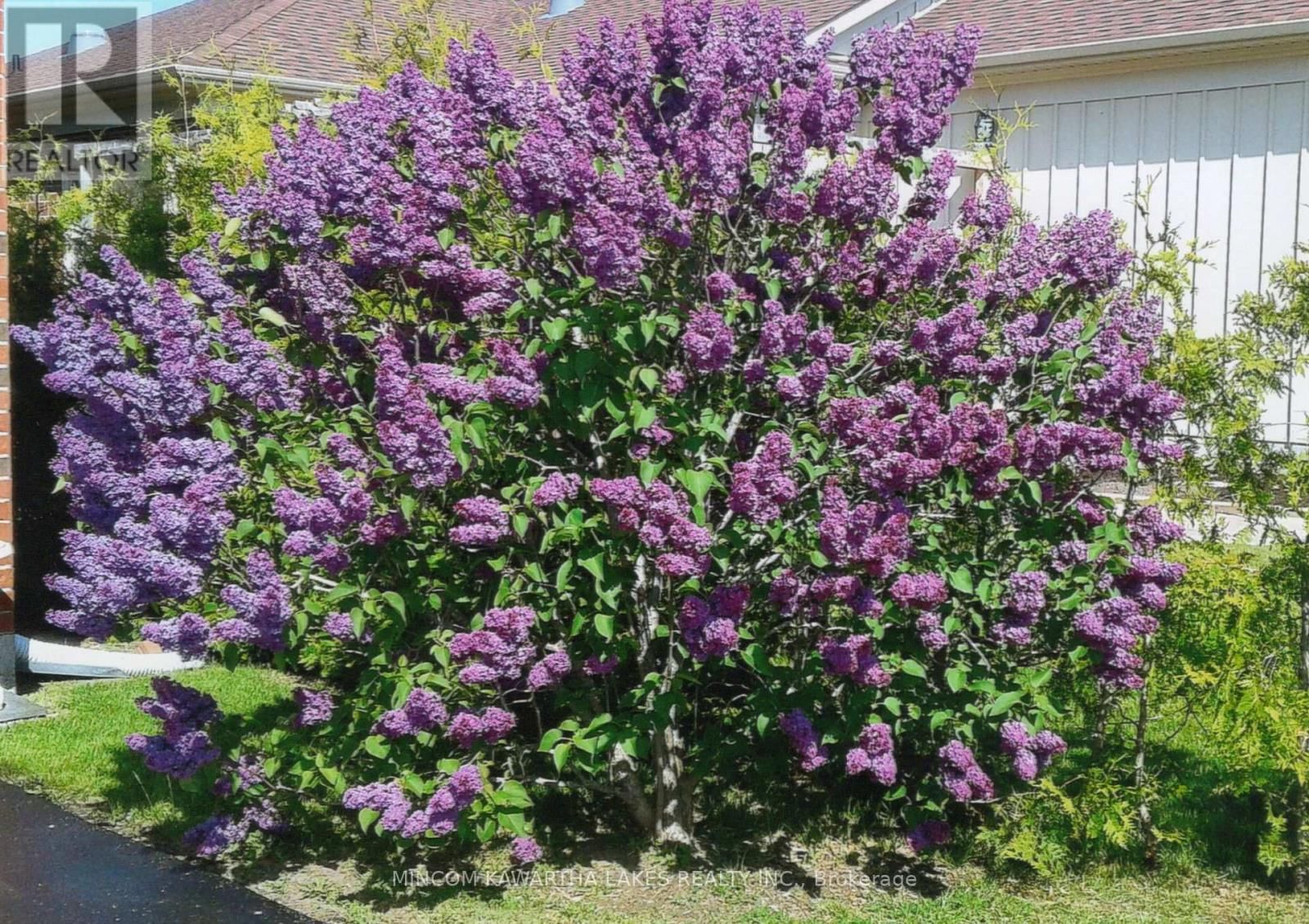 806 SMITH ROAD Image 35