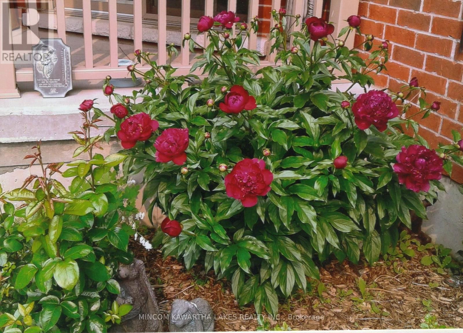 806 SMITH ROAD Image 37