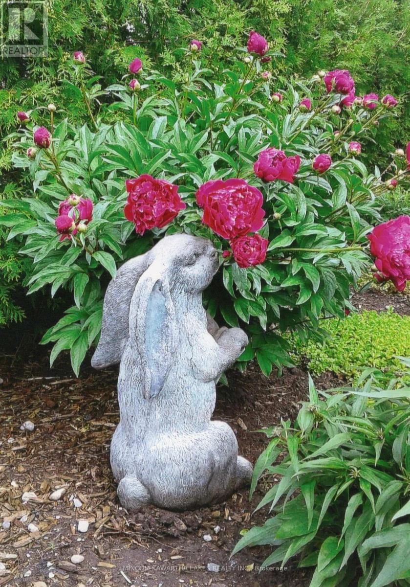 806 SMITH ROAD Image 40