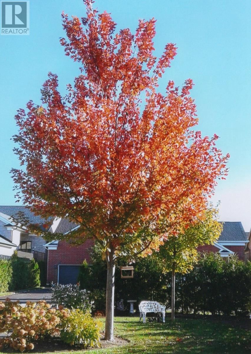 806 SMITH ROAD Image 41