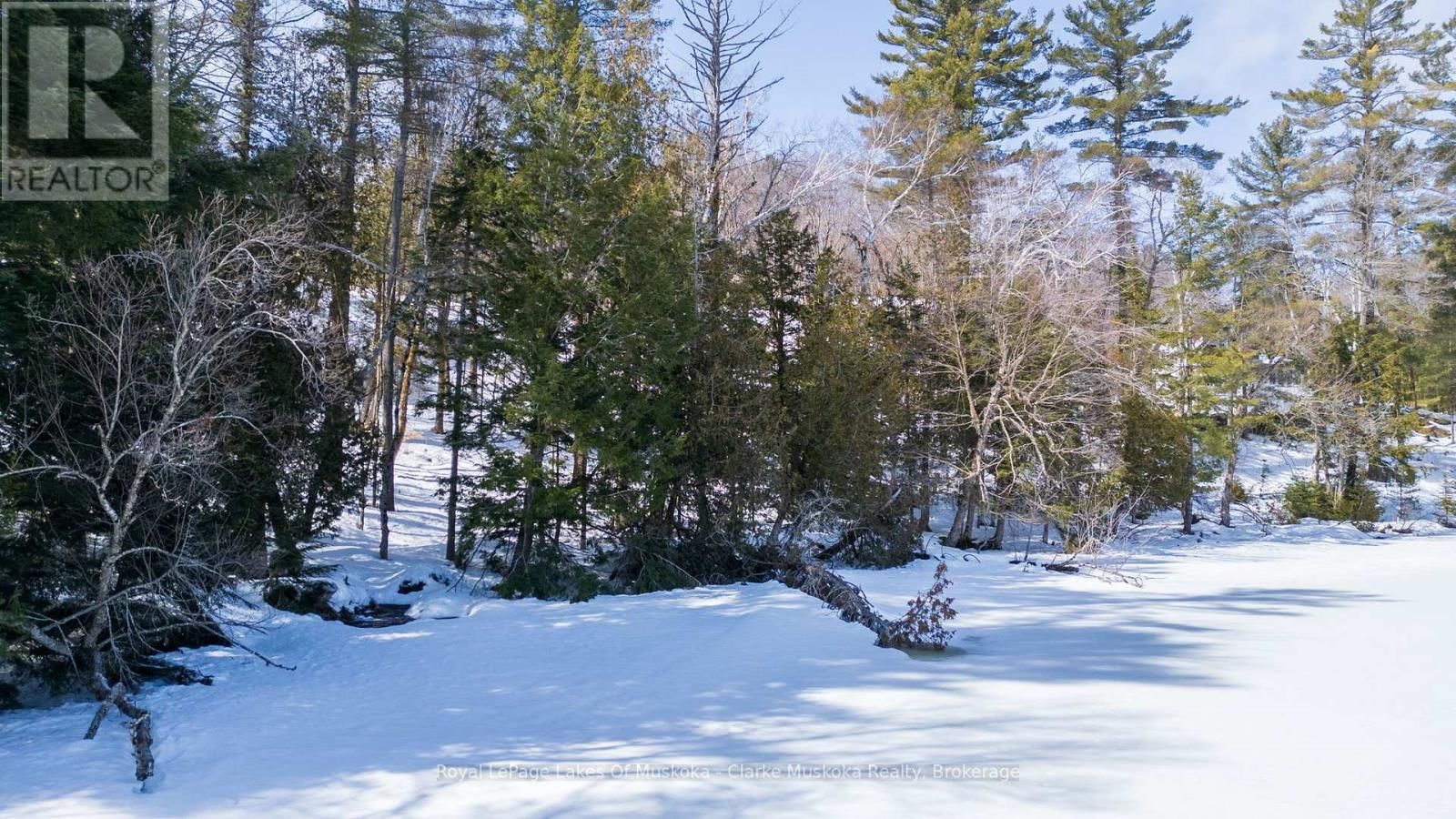 252 CLEAR LAKE ROAD Image 6