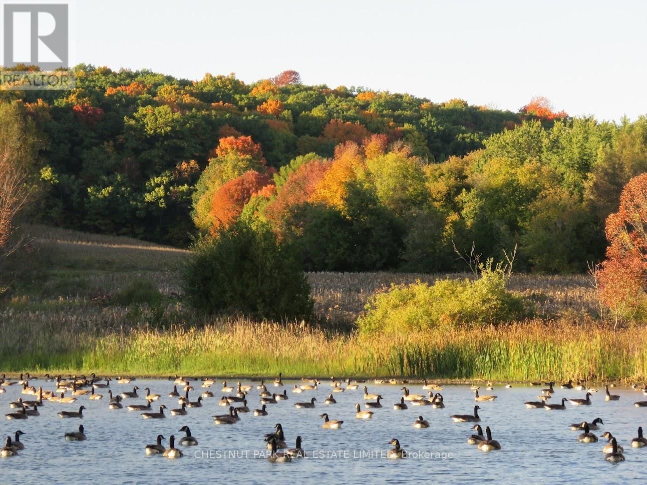 000 CROSSEN ROAD Image 11