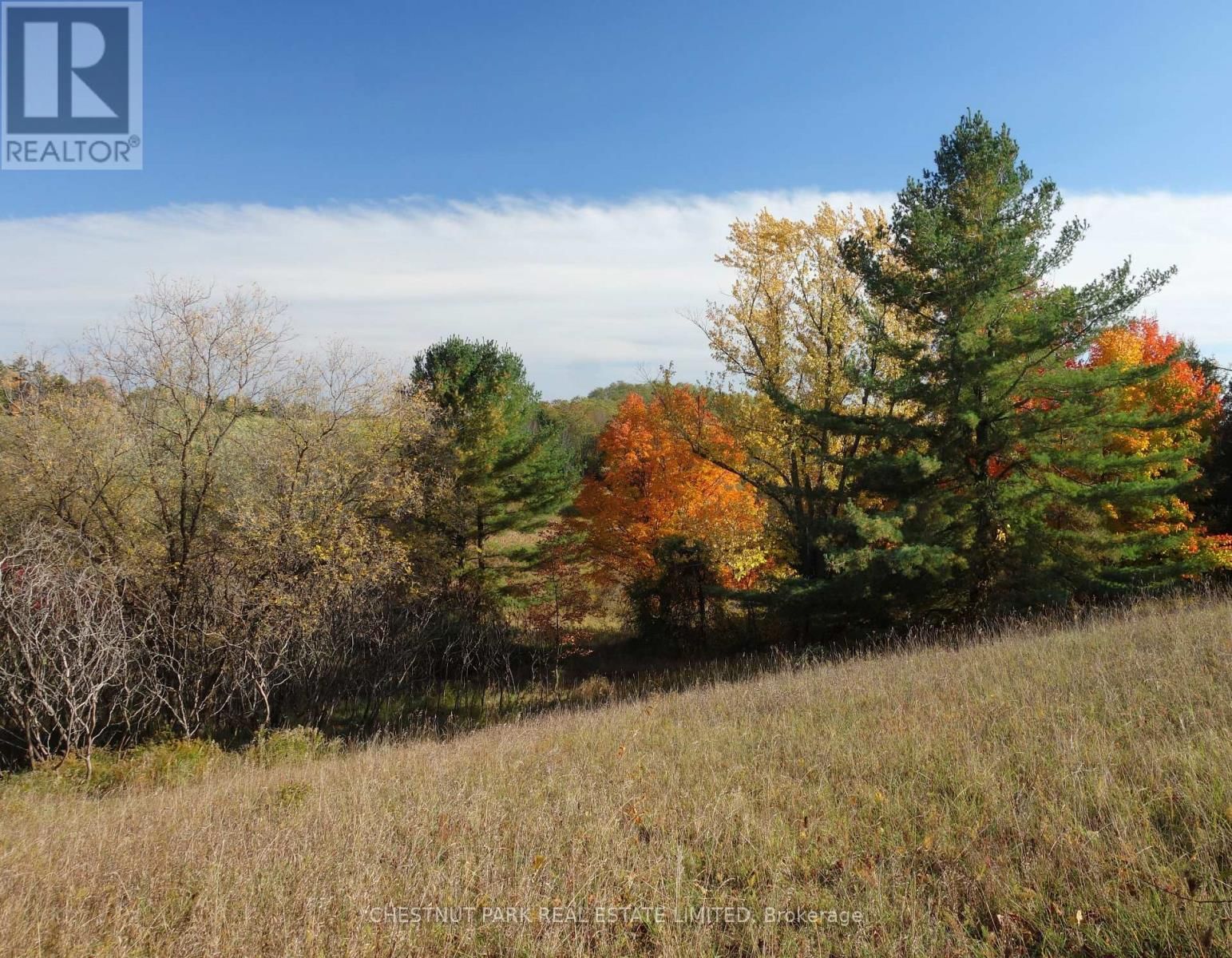 000 CROSSEN ROAD Image 13