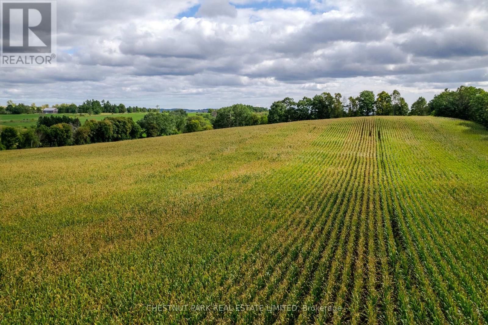 000 CROSSEN ROAD Image 14