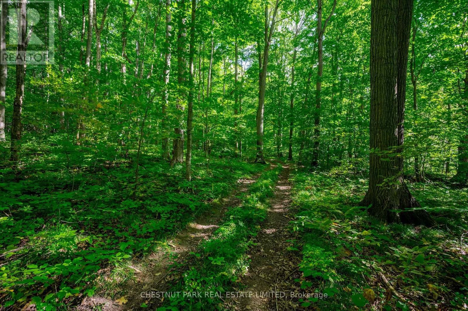 000 CROSSEN ROAD Image 16