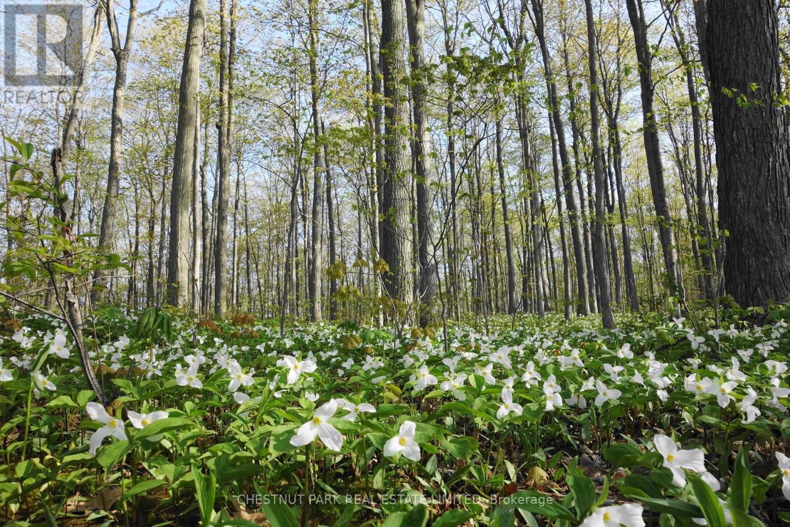 000 CROSSEN ROAD Image 20