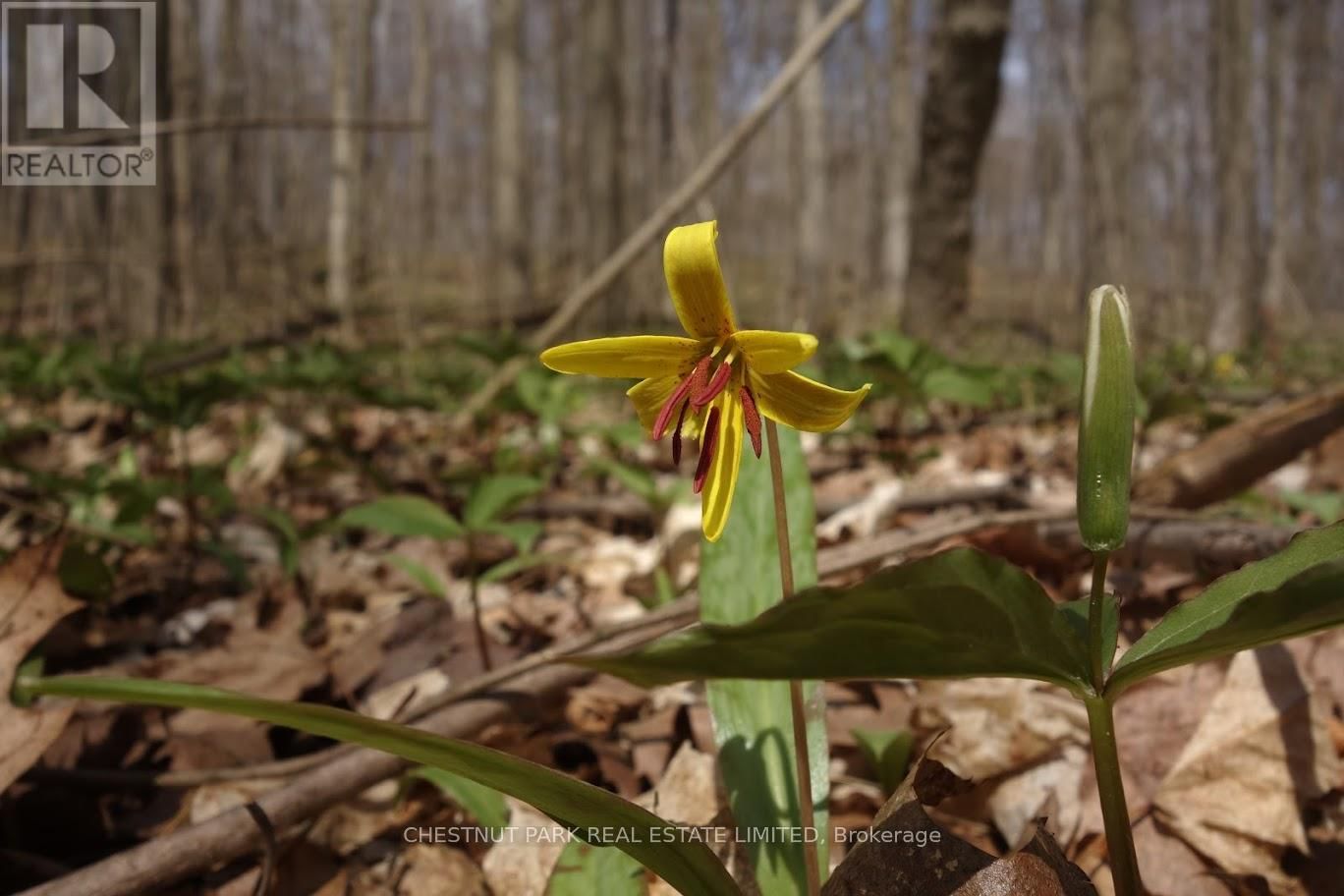 000 CROSSEN ROAD Image 21