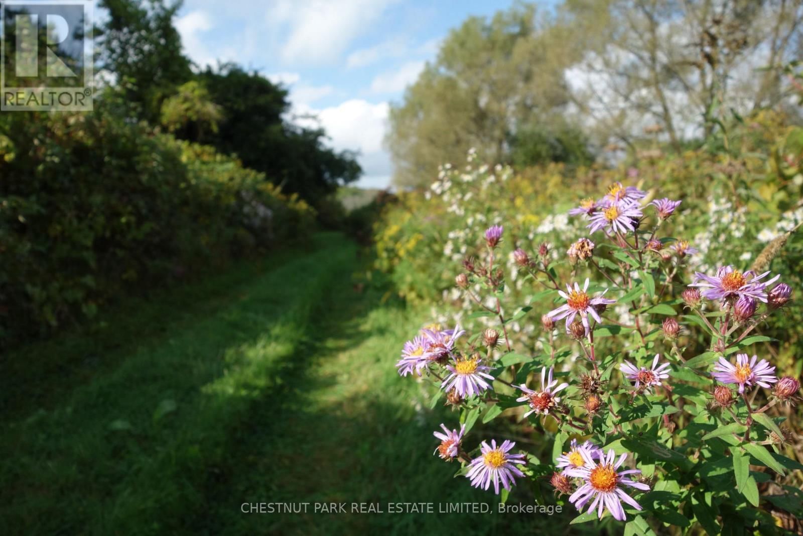 000 CROSSEN ROAD Image 27