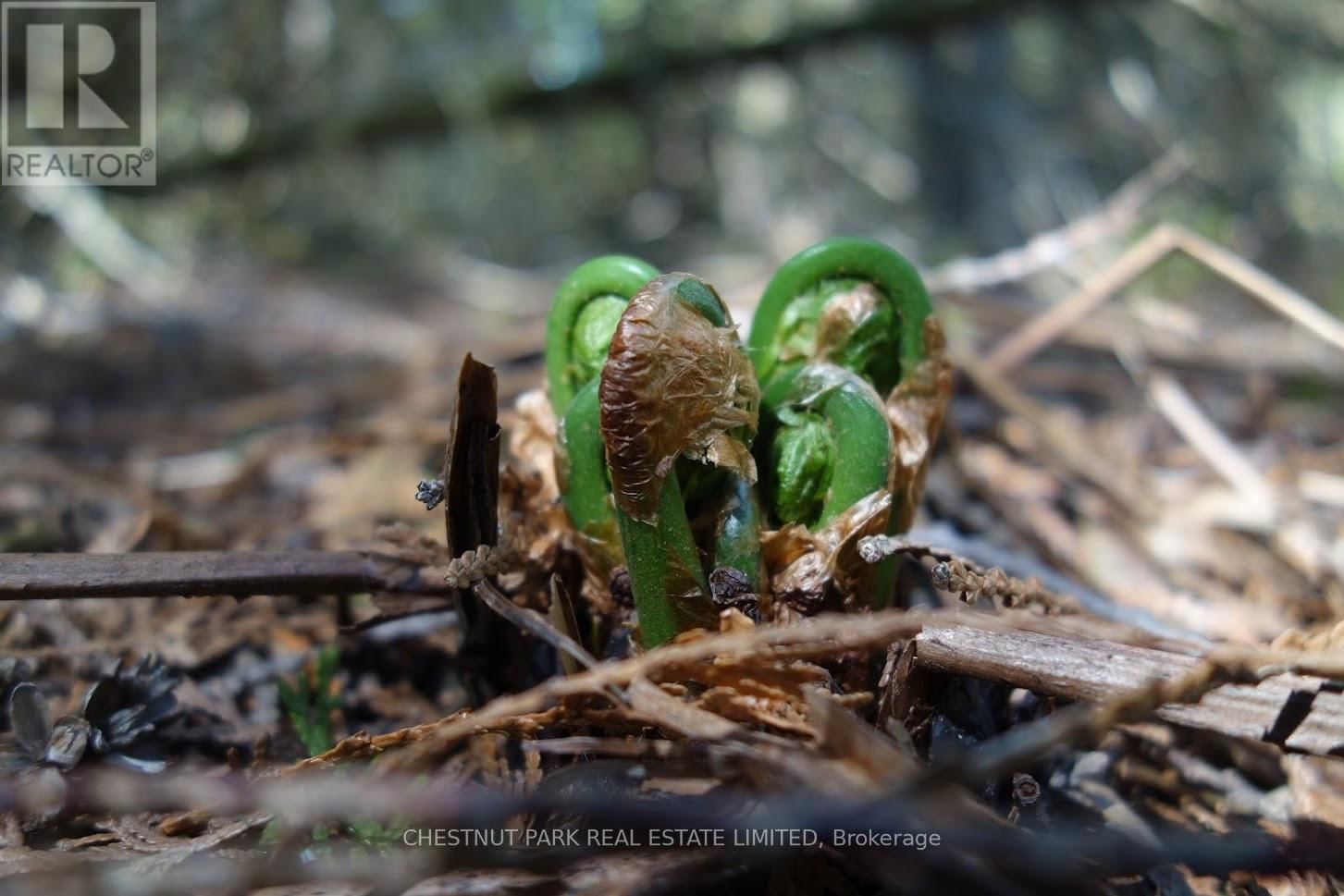 000 CROSSEN ROAD Image 31