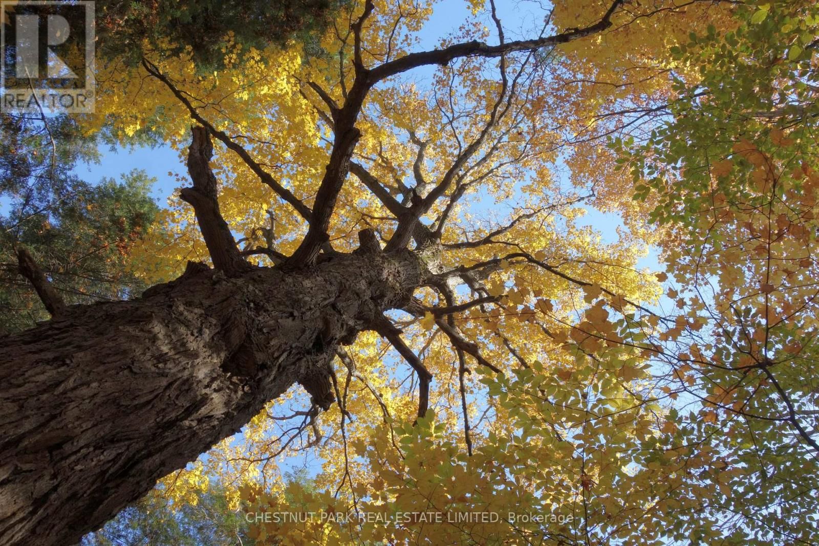 000 CROSSEN ROAD Image 33