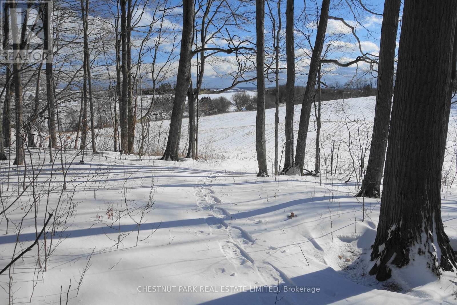 000 CROSSEN ROAD Image 35