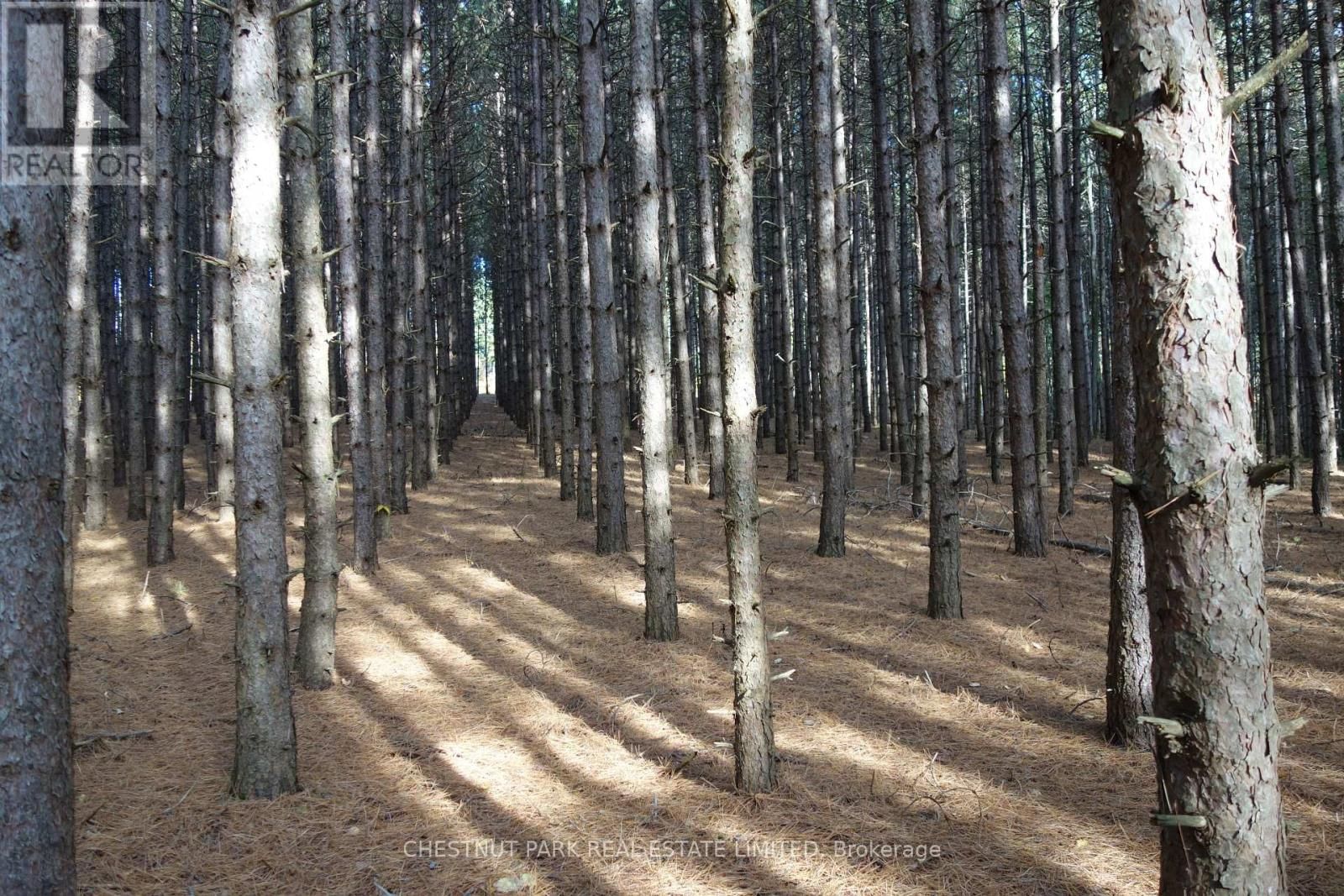 000 CROSSEN ROAD Image 37