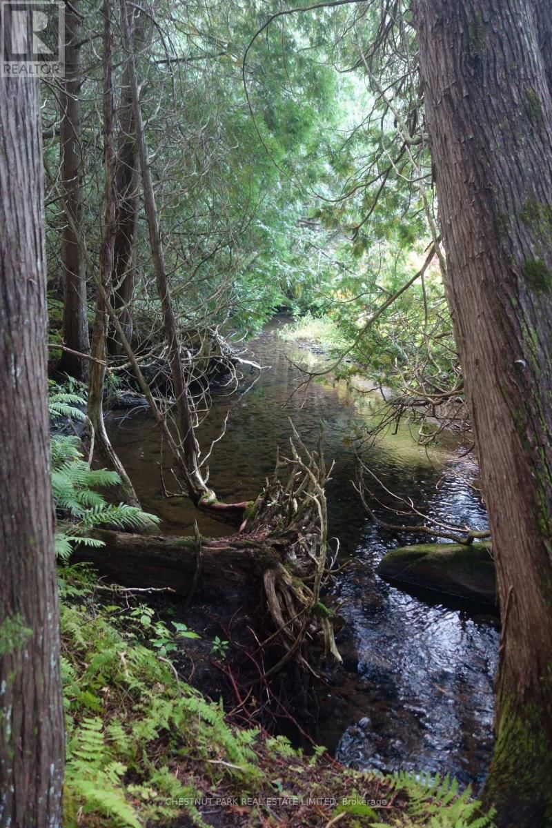 000 CROSSEN ROAD Image 38