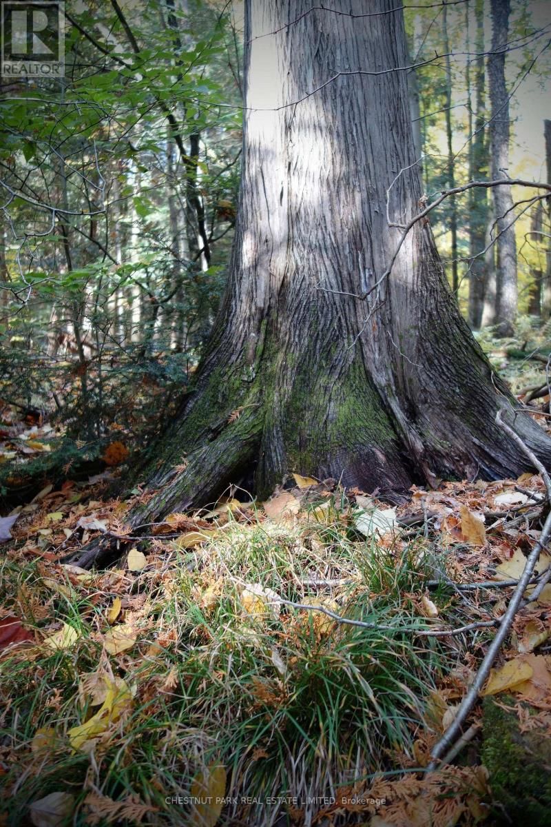 000 CROSSEN ROAD Image 39