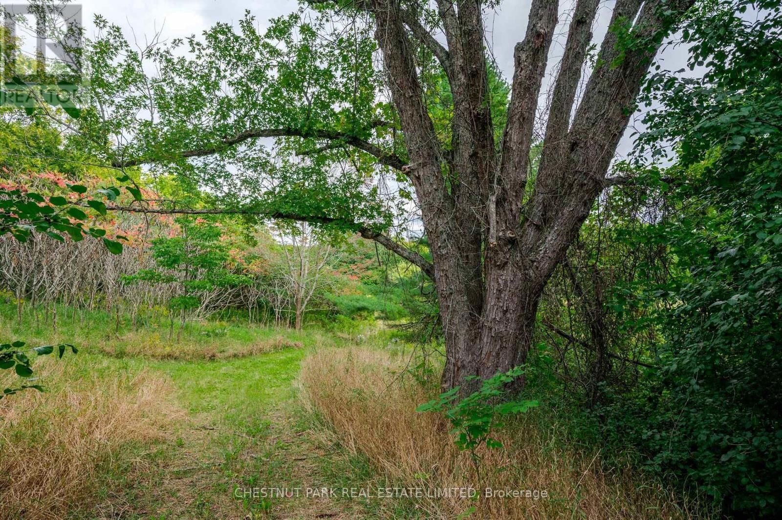 000 CROSSEN ROAD Image 9