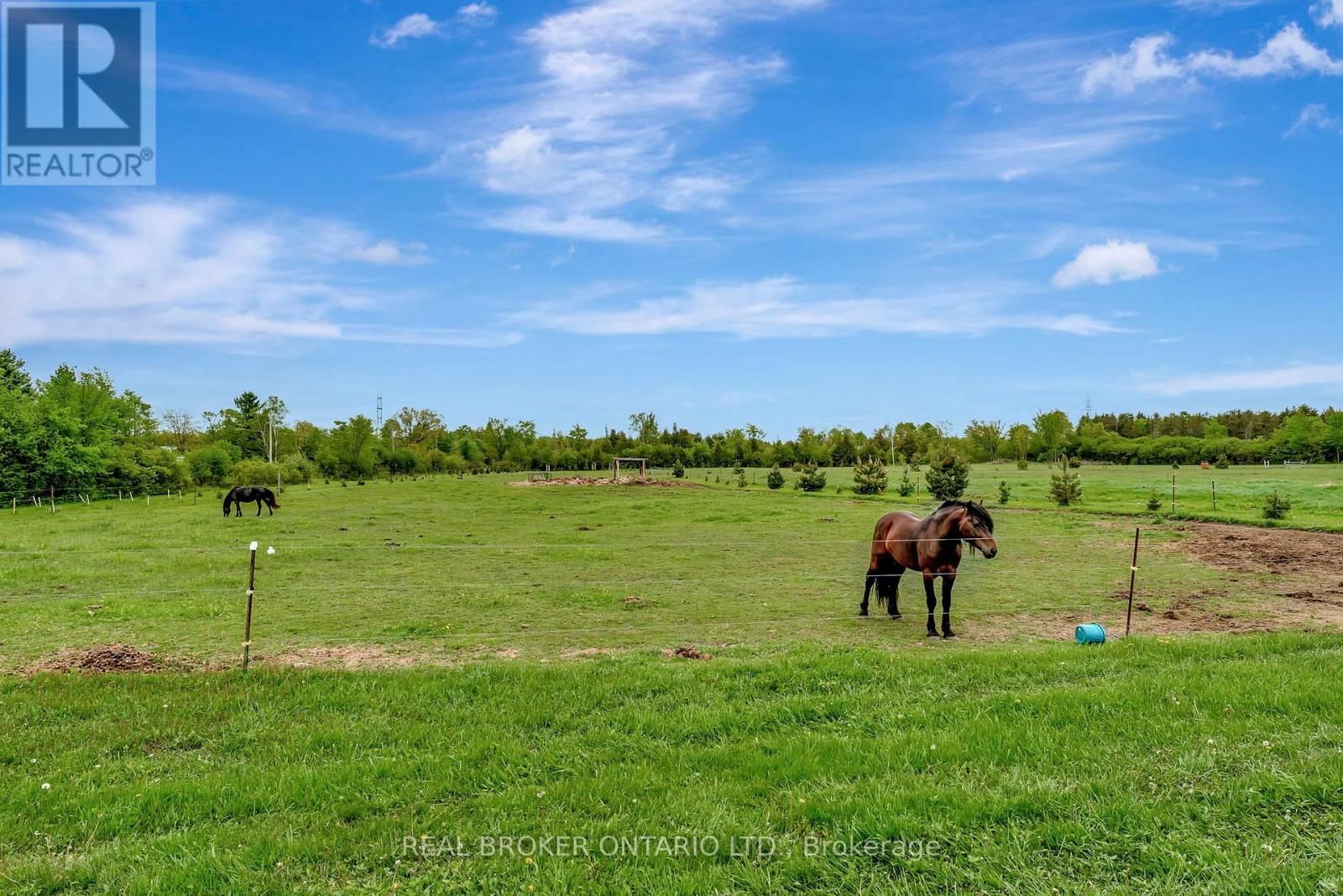 174 COUNTY 1 ROAD Image 36