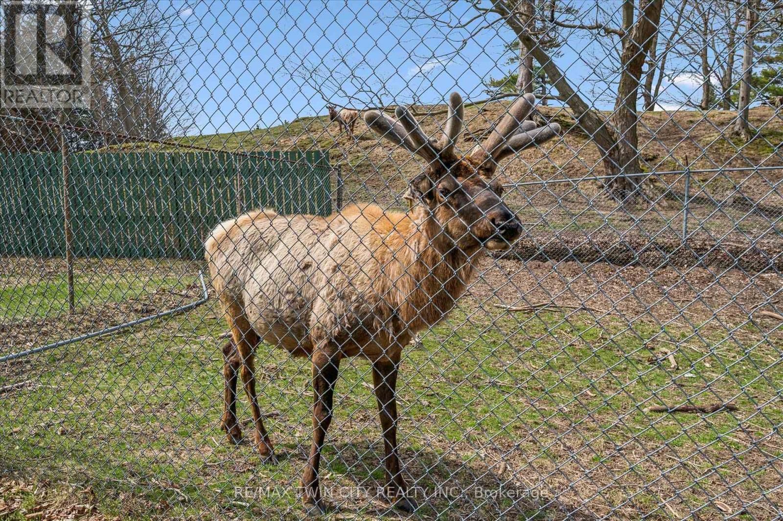 83 - 930 LAKESHORE ROAD Image 27