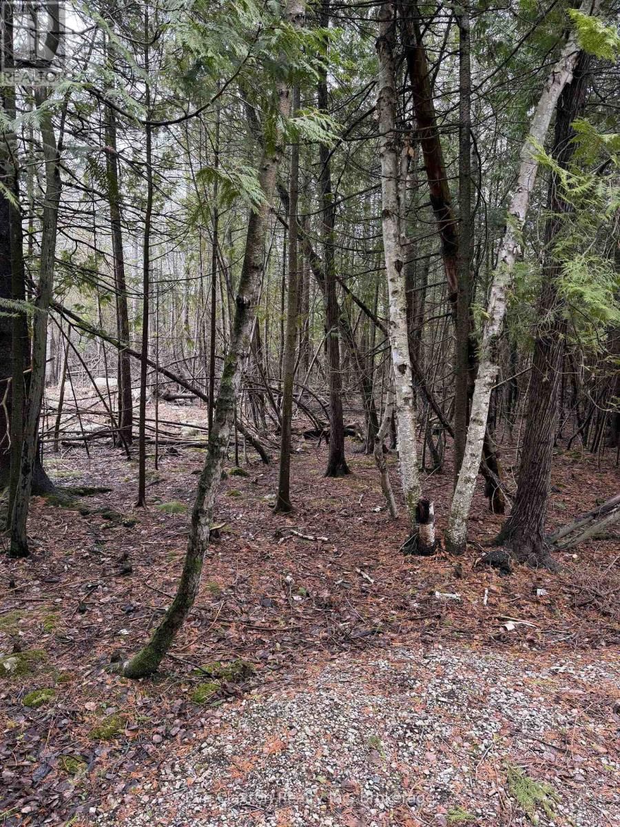 CAMERON DRIVE Image 4