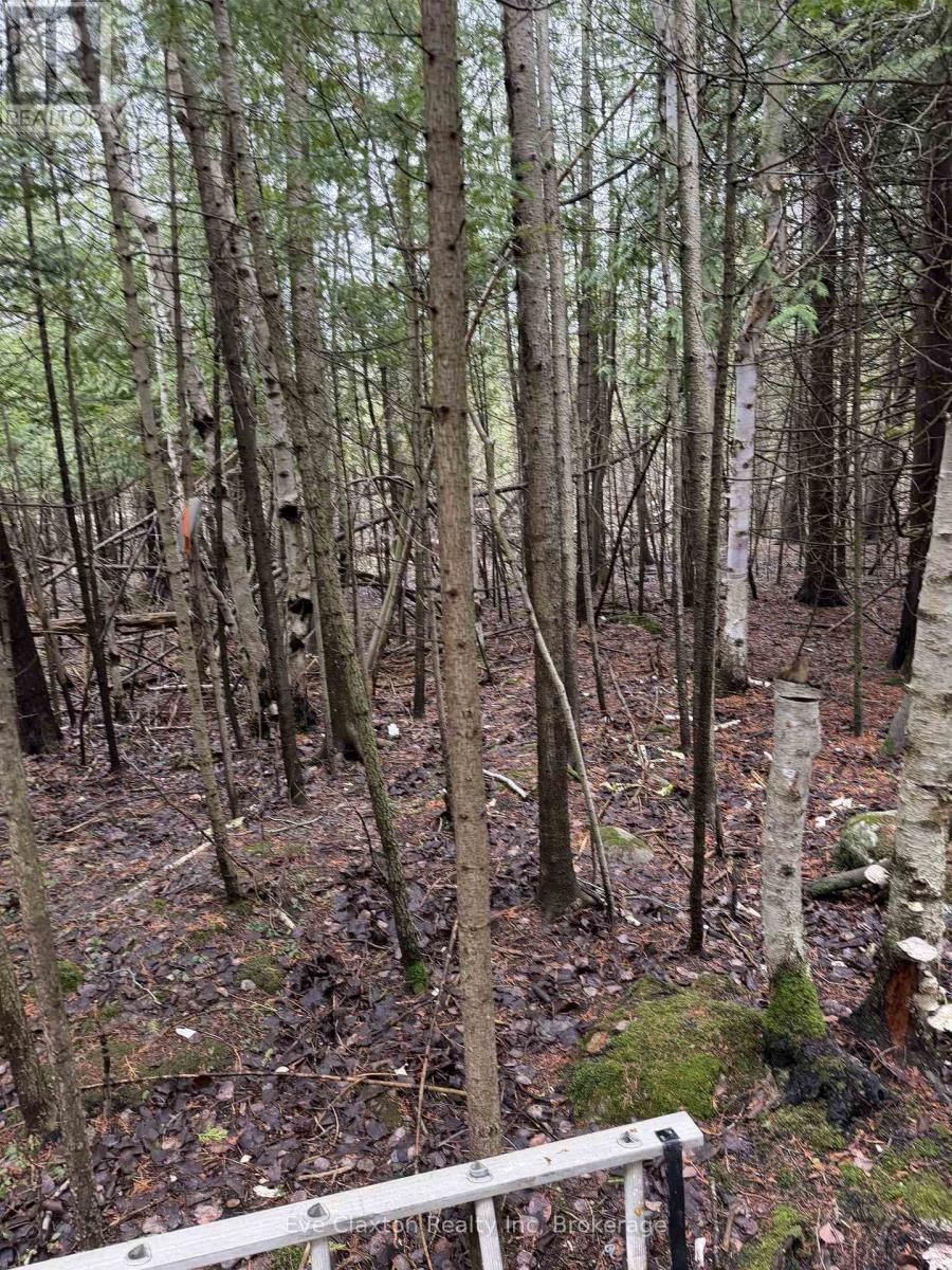 CAMERON DRIVE Image 5