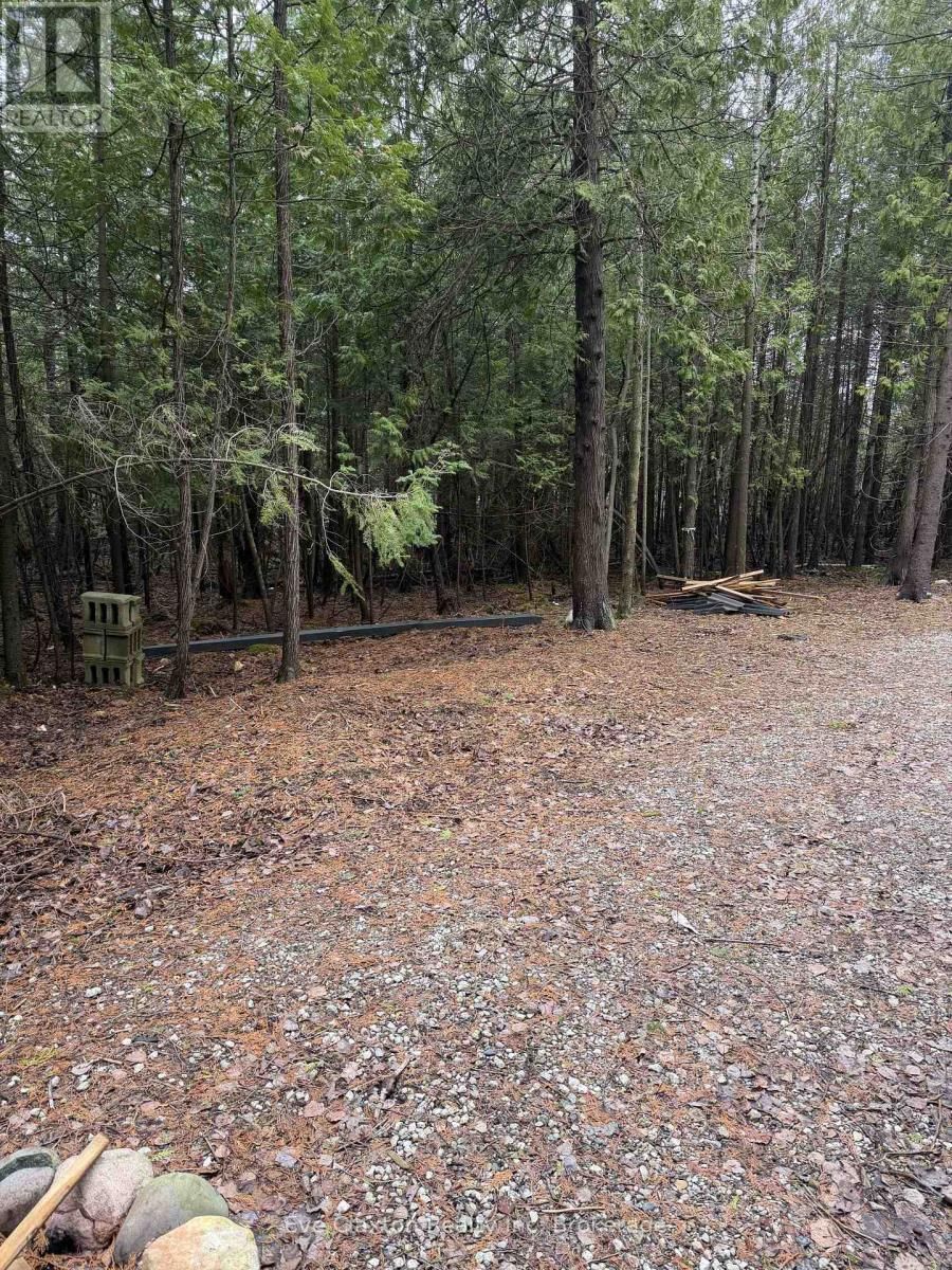 CAMERON DRIVE Image 7