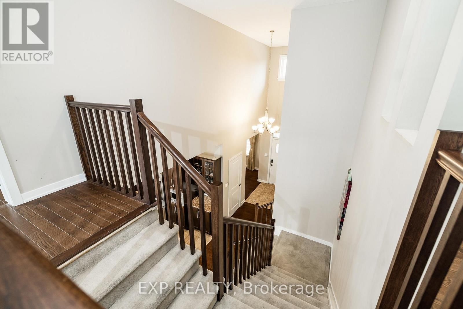 119 RIDDELL STREET Image 23