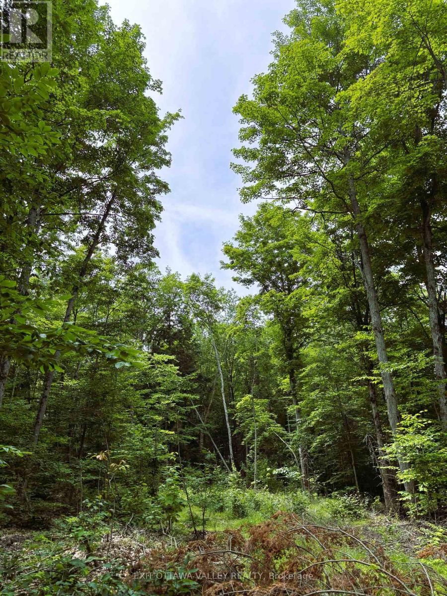 0 PEPLINSKIE ROAD Image 10