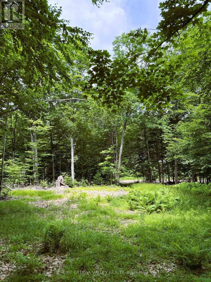 0 PEPLINSKIE ROAD Image 11