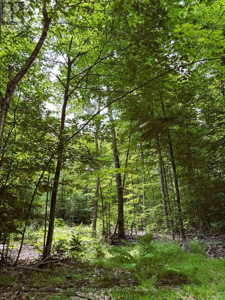 0 PEPLINSKIE ROAD Image 12