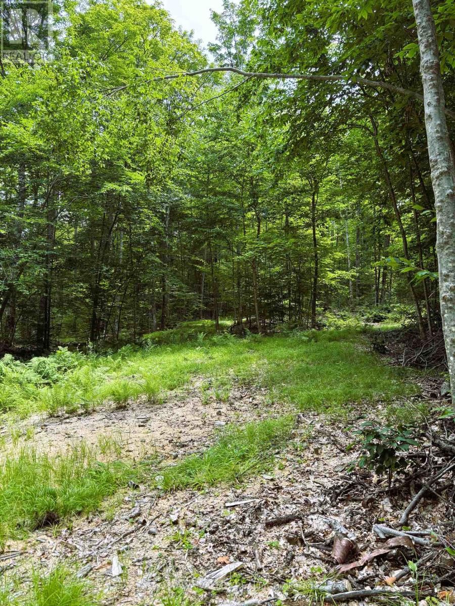 0 PEPLINSKIE ROAD Image 13