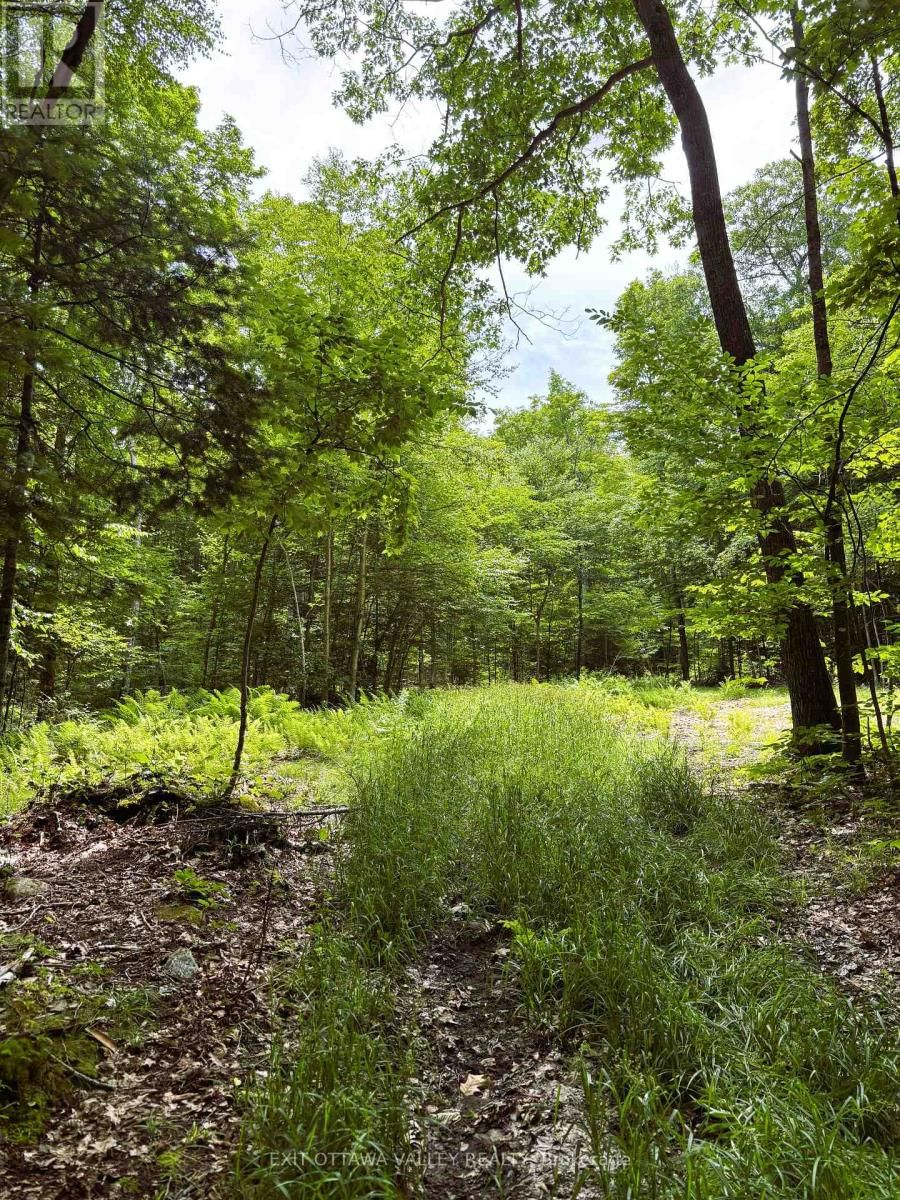 0 PEPLINSKIE ROAD Image 14