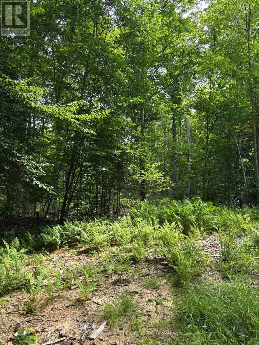 0 PEPLINSKIE ROAD Image 15