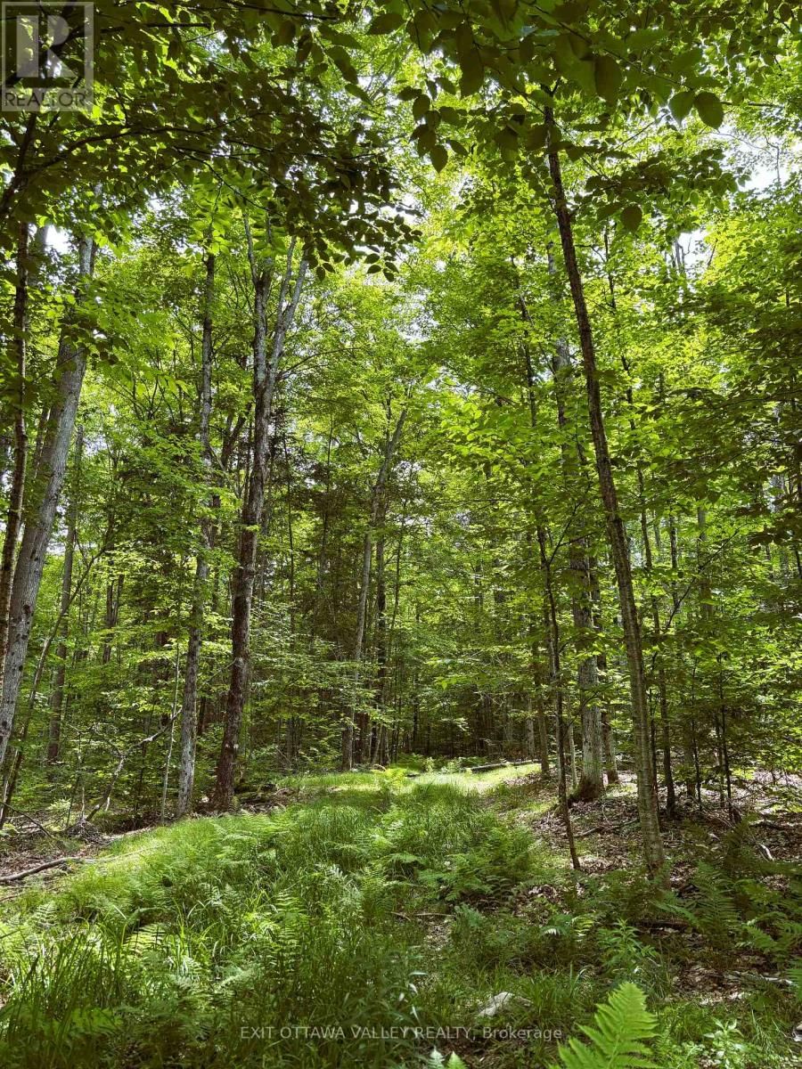 0 PEPLINSKIE ROAD Image 16