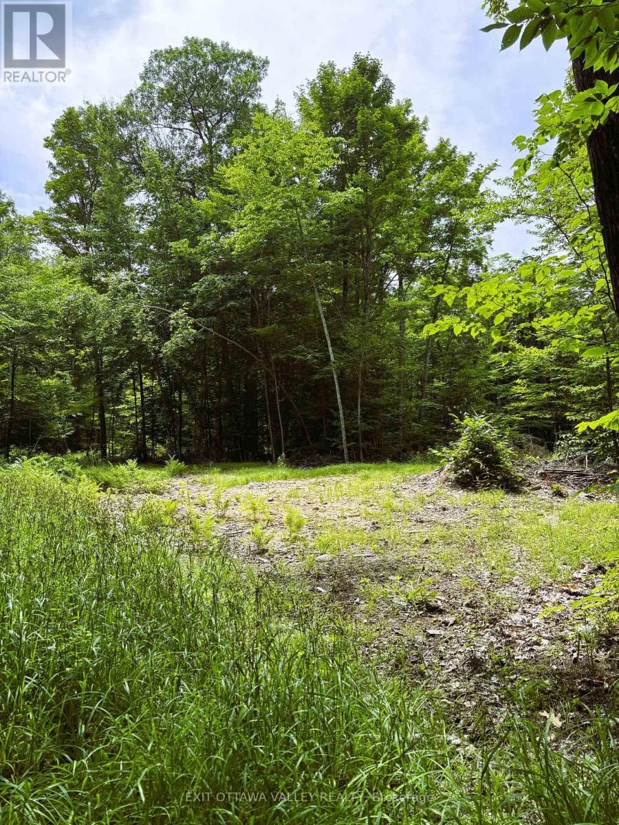 0 PEPLINSKIE ROAD Image 17