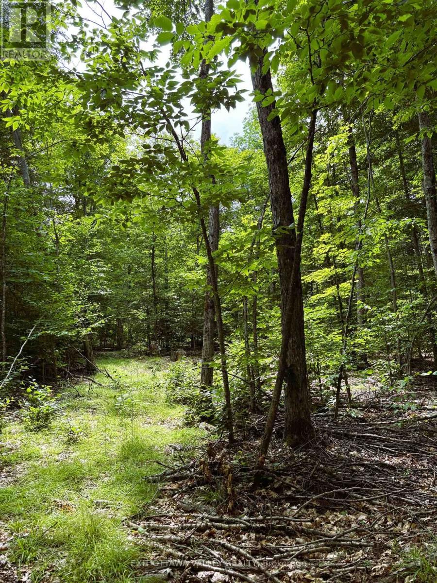 0 PEPLINSKIE ROAD Image 18