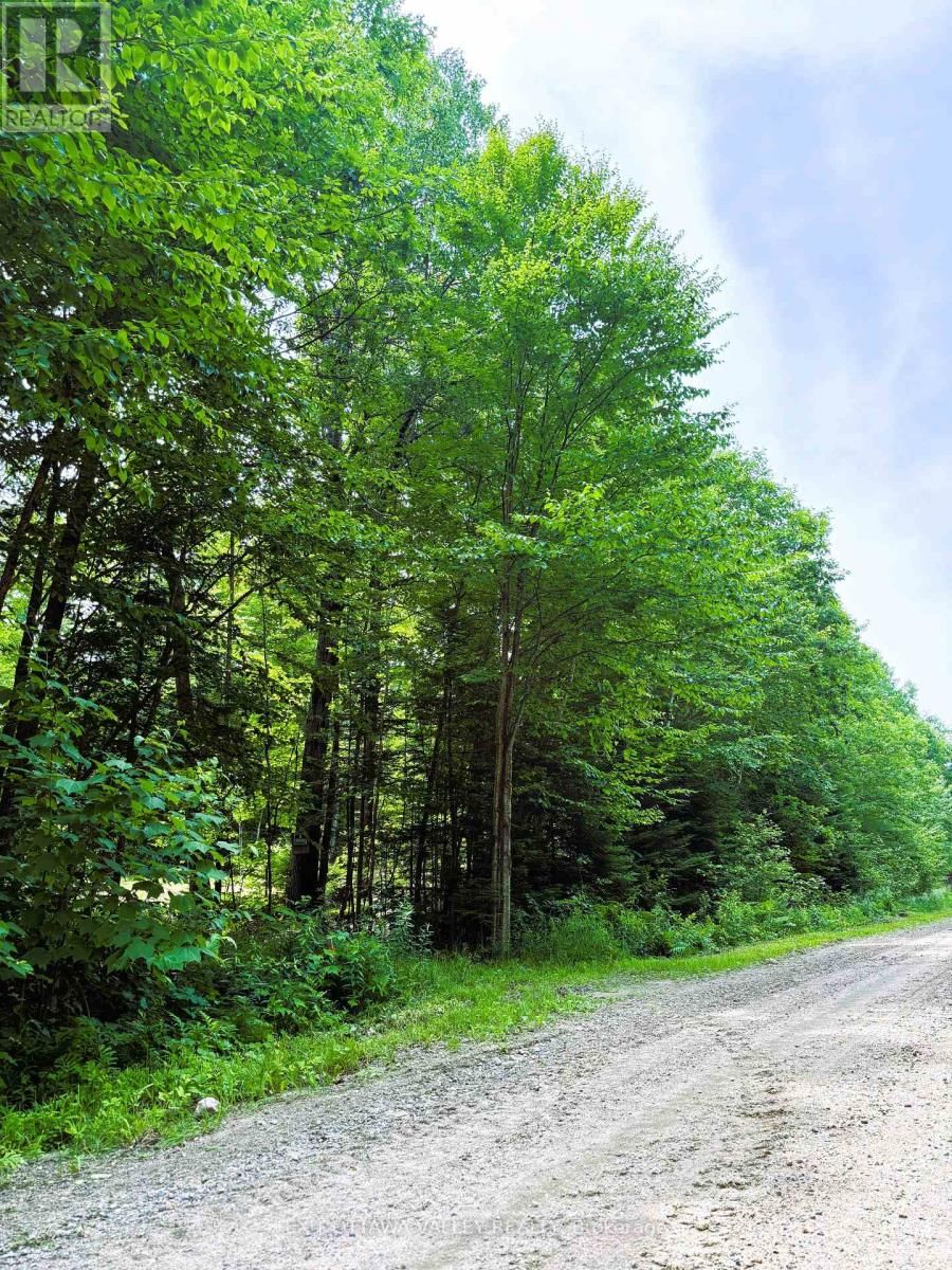 0 PEPLINSKIE ROAD Image 19